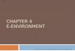 Chap 04: E-environment