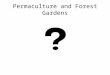 Forest gardens and permaculture
