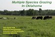 Multiple Species Grazing in Oklahoma