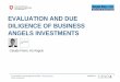 Evaluation and due diligence of business angel investments