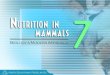 nutrition in animals