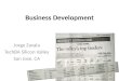 Business Development in the Silicon Valley