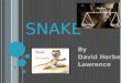 Snake by D.H. Lawrence