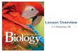 CVA Biology I - B10vrv1013