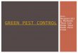 Green pest control   eco-responsible methods that can keep your home pest free