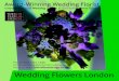 Bridal Wedding Flowers by Todich Floral Design, Wedding Bouquets and Bridal Flowers by Award - Winning Wedding Florist in London. Beautiful Bridal Bouquets for Romantic Wedding in