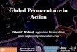 Global permaculture-in-action
