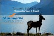 Tanzania Safaris Tours by Maranatha Tours & Travel