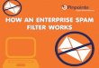 How an Enterprise SPAM Filter Works