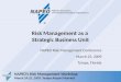 Risk Management as a Strategic Business Unit