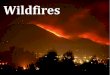 Wildfires - June, 2008