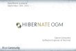 Introducing Hibernate OGM: porting JPA applications to NoSQL, Sanne Grinovero (JBoss by RedHat)