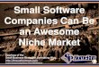 Small Software Companies Can Be an Awesome Niche Market (Slides)