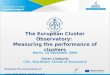 Measuring the performance of clusters- The European Cluster Observatory approach