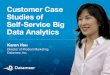Customer Case Studies of Self-Service Big Data Analytics