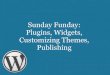 WordPress 101 Sunday Session