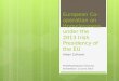 European cooperation on homelessness under the 2013 Irish Presidency of the EU