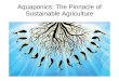 Daniel Forsythe: Aquaponics: The Pinnacle of Sustainable Agriculture