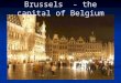 Brussels   The Capital Of Belgium1