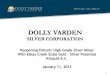 Jan. 11, 2013  Dolly Varden Silver Presentation