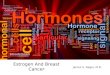 Estrogen and breast cancer
