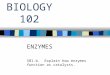 102 enzymes 2010