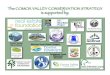 The Comox Valley Conservation Strategy
