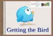 Twitter: part 2 - Getting the Bird - Twitter best practise