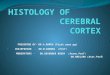 Histology of                cerebral cortex
