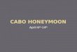 Cabo Honeymoon Options