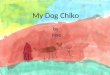Pp my dog chiko by jose