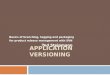 Application versioning