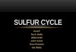 Human intervention in the sulfur cycle
