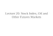 Lecture 19: Stock Index, Oil and Other Futures Markets