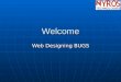Web Designing Bugs - Fixes By Nyros Developer