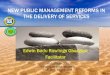 New Public Management Reforms in the Delivery of Pulic Service