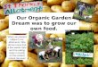 Organic Garden Scotland