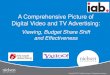 Digital video-and-tv-advertising-viewing-budget-share-shift-and-effectiveness-final