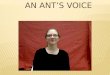 An Ant's Voice