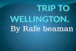 Trip to wellington