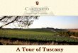 Carpineto, A Tour of Tuscany