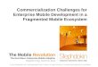 Commercialization challenges of enterprise mobile adoption in the fragmented mobile ecosystem (Stephen King Kryos Velocity)