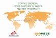 Biovale Energia   Partnership & Prospects