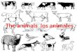 Animales para 1 to 4grado