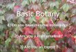 Basic botany