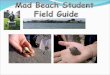 MBFS student field guide 3