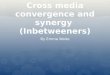 Synergy and Cross media convergence inbetweeners