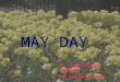 May day blog[1]