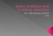 Basal ganglia and clinical anatomy, by Dr. Gagan Gupta(PT)