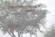 September Rain Ends Drought powerpoint